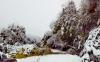 Heavy Snowfall Paralyzes Northwestern Bulgaria: Power Outages and Road Closures Reported