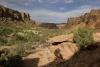 See The Trails, And Petroglyphs In Colorado's Dominguez Canyon