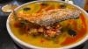 Oakland Colombian restaurant tries out food and music pairing menu with a Latin twist