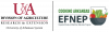 Extension EFNEP program expanding to provide nutrition education to more Arkansans