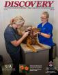 Is canine ehrlichiosis, a tick-borne disease in dogs, increasing in Arkansas?