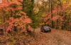Scenic Drives to See Arkansas in Full Fall Glory