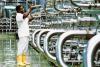 Cameroon’s industrial imports grow under EU deal despite fuel, rice burden