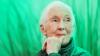 China honors Jane Goodall's legacy in wildlife conservation