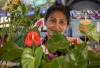 Vanua Levu to host next agriculture show
