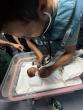 WHO Renews Call to Protect Healthcare and Access Aid to Gaza