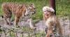 Carole Baskin’s Big Cat Rescue to send most animals to Arkansas