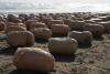510 kg of drugs were prevented from being smuggled from Iran to Azerbaijan via Caspian Sea