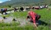 Bhutan bets on agriculture to drive economic growth and food security