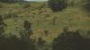 Experts warn: Land rights disputes hurt food security