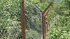Fences of change: How chain-link barriers is redefining farming across Bhutan