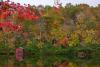 The Fall Color In These Lesser-Known Alabama Towns Rivals What You Can See In The Smokies