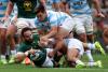 Springboks seal back-to-back Rugby Championship titles with narrow Argentina win