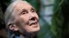 Jane Goodall: 'Every one of us makes a difference – it's up to us what kind'