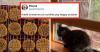 16 Wholesome Posts From The Internet This Week That Are 99.999% Guaranteed To Improve Your Mood