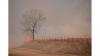 Governor Gordon Announces Wildfire Relief Webinar For Impacted Homeowners, Landowners, Business Owners and Non-profits