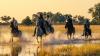 My incredible horse-riding safari in Botswana’s Okavango Delta