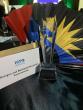 ABEC Honoured with Top Electoral Management Award in Botswana