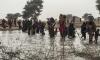 Thousands Flee to Cameroon After Boko Haram Seizes Borno Community