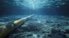Cayman: Chamber Launches New Webinar Series on Infrastructure