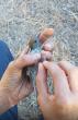 SBAP ready for bird trapping season in Cyprus