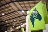 Horse Sport Ireland hit with bullying complaints as showjumpers revolt over process to recruit new manager