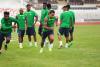 W’Cup Qualifiers: The Odds, Expectations As Nigeria Confronts Lesotho, Benin Republic