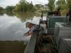 'EATING MACHINE': Americans, Canadians unite in battling invasive carp