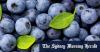 Australians are eating more blueberries than ever. Consumers deserve better protection