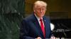 Inside Trump's Bid for Nobel Peace Prize as Norway Prepares for 2025 Winner Announcement