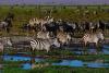 The Scientists Making the Case for Nature’s Rights
