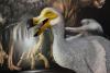 Scientists on verge of resurrecting the Dodo