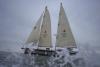 Carbon footprint: The comeback of sails in shipping sees huge environmental and economic benefits
