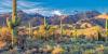 A fight against a deadly fungus in Arizona is under threat from the Trump admin