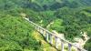 Sri Lanka Tourism to hold roadshows in India to boost visitor arrivals