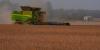 If there isn’t a China trade deal soon, U.S. soybean farmer warns ‘they’re going to bypass us altogether’