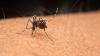 Over 50 lakh Indians at long-term risk of chikungunya as threat rises