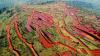 Simandou deaths: Triple fatality adds to tragic toll on giant iron ore project in Guinea