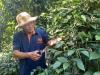 Đồng Nai fosters organic, high-tech agriculture