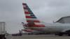 PETA celebrates landing a vegan dish on American Airlines' in-flight menu