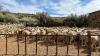 EC sheep farmers face rising climate risks to communal flocks