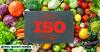 Can This New International Standard Transform Plant-Based Food Labelling?