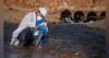 U.S. Budget Cuts Stymie Cross-Border Chemical Pollution Research
