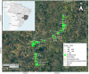 Verde AgriTech Announces District Scale High-Grade Magnetic Rare Earths Discovery in Minas Gerais, Brazil