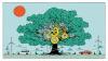 Why Economic Growth is the Environment’s Best Hope