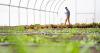 Two new online tools aim to maximize West Michigan's agricultural potential