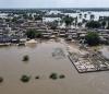 Pakistan’s Poultry Feed Crisis Deepens Amid Historic Floods and Wheat Ban