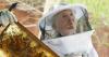 Jane Goodall's legacy is even more important as America turns away from science