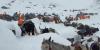 Alaska guide highlights dangers of mountaineering after hundreds stranded in Mount Everest blizzard