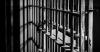 12 people sentenced to combined 73 years for drug trafficking, DOJ says